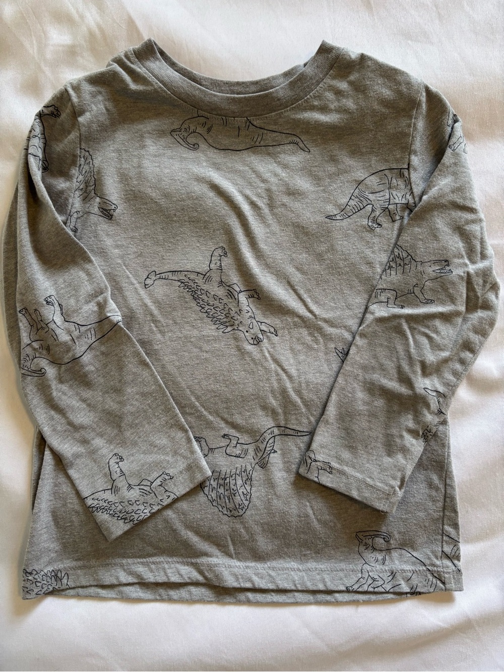 Cat & Jack Gray Long-Sleeve Dinosaur Tee (4T)